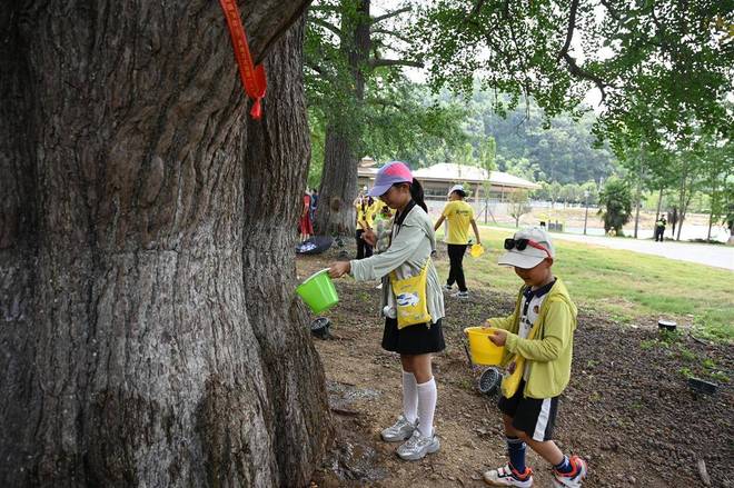 潮玩季银杏谷启幕 夏夜露营电音狂欢