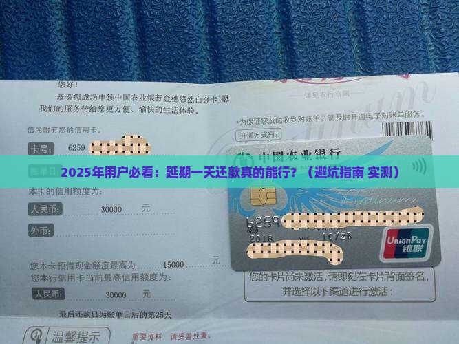 2025年用户必看：延期一天还款真的能行？（避坑指南+实测）