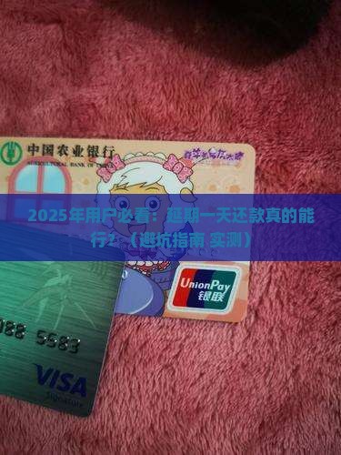 放心借延期一天还款