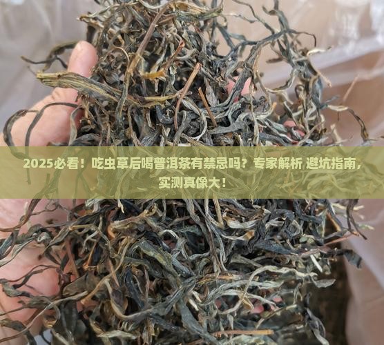 吃虫草后可以喝普洱茶吗