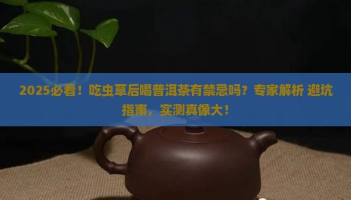 吃虫草后可以喝普洱茶吗