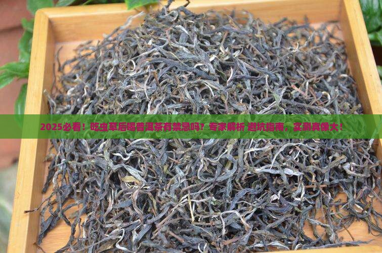 吃虫草后可以喝普洱茶吗
