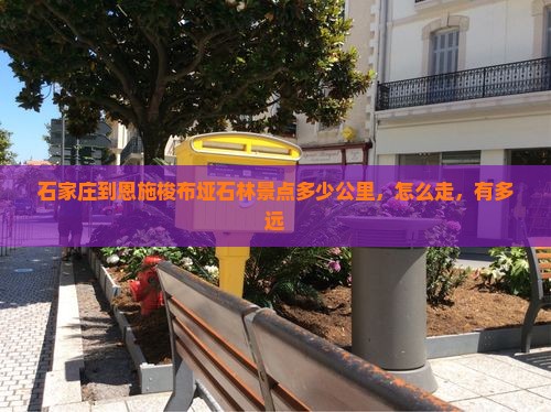 石家庄到恩施梭布垭石林景点