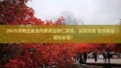 2025济南出发去内蒙希拉穆仁草原，实测攻略+省钱秘籍，避坑必看！