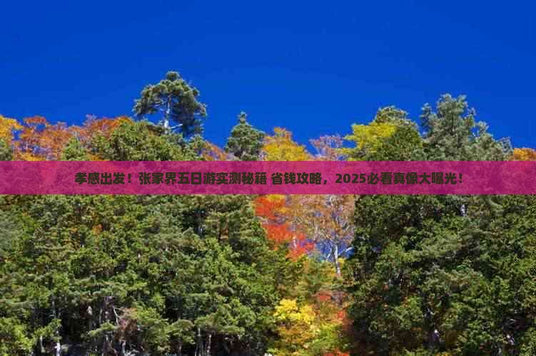 孝感出发！张家界五日游实测秘籍+省钱攻略，2025必看真像大曝光！
