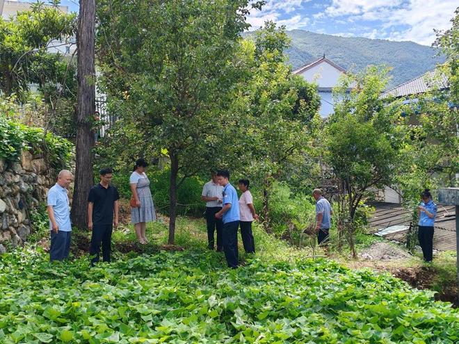 山阳县法官镇：邻里纠纷起干戈 网格调解化玉帛