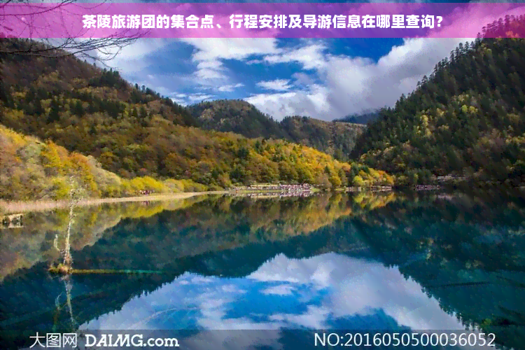 茶陵旅游团的 点、行程安排及导游信息在哪里查询? 茶陵旅游团的 点、行程安排及导游信息在哪里查询?